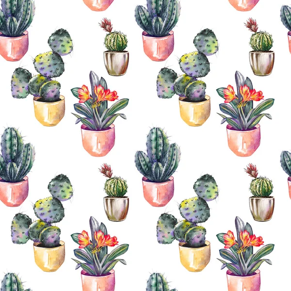 Patrón Sin Costuras Con Cactus Maceta Flores Clivia Ilustración Acuarela — Foto de Stock