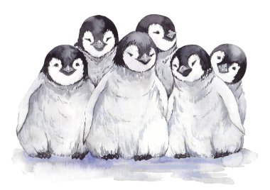 Suluboya gri bebek penguen