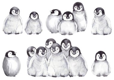 Bebek penguenler seti