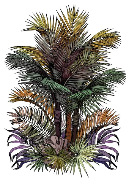 Palm träd oasis — Stock vektor
