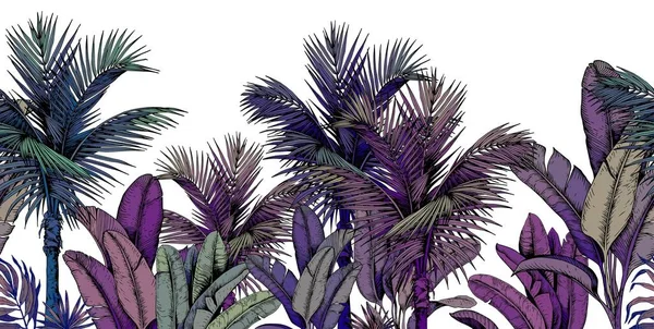 Tropické palmový Les — Stockový vektor