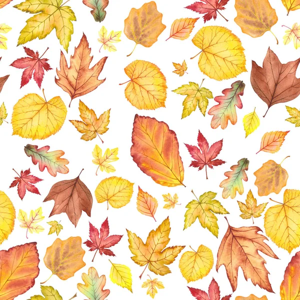 Naadloos patroon met veelkleurige herfstbladeren. — Stockfoto