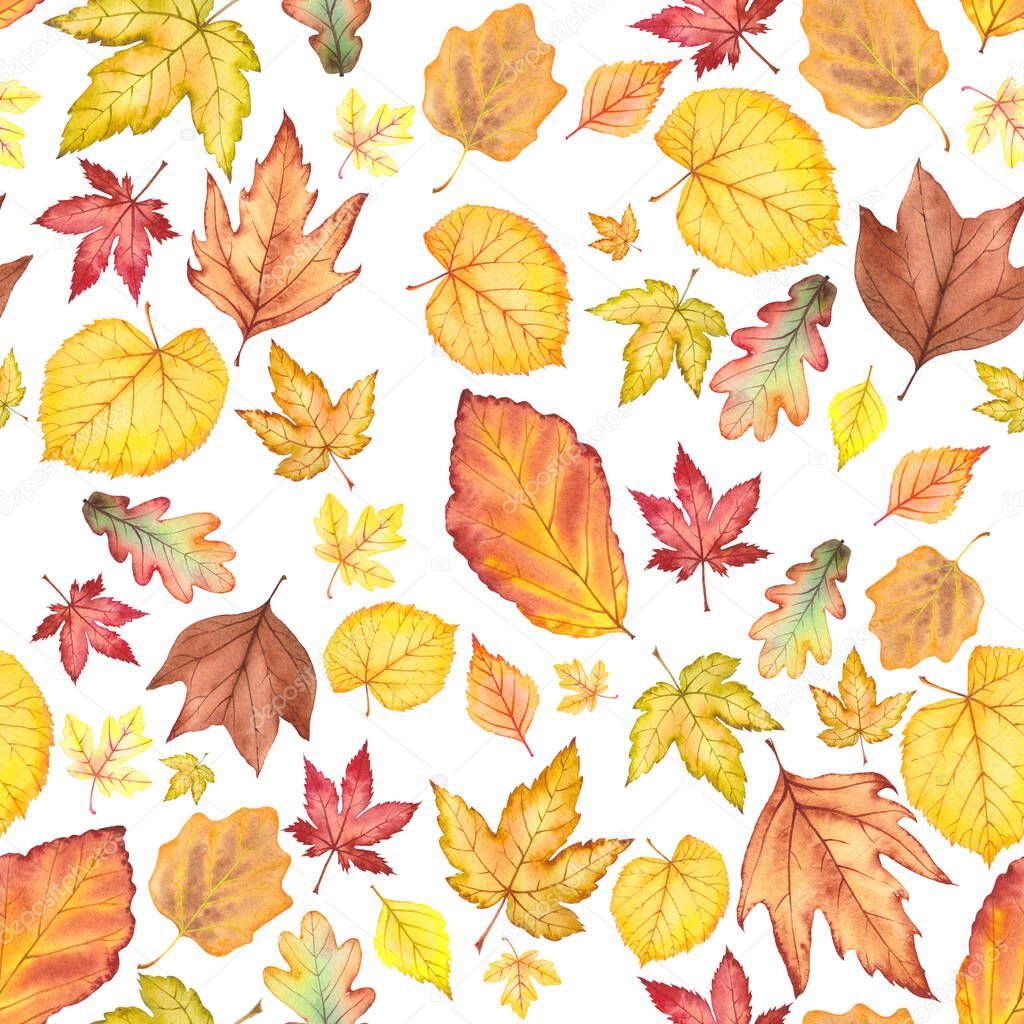 Seamless pattern with multicolored autumn leaves.