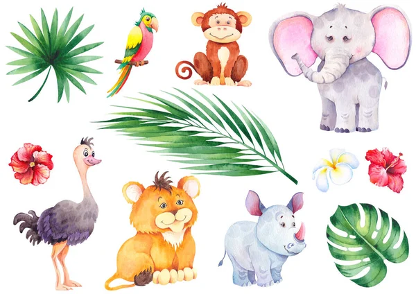Sada malých tropických zvířat. — Stock fotografie
