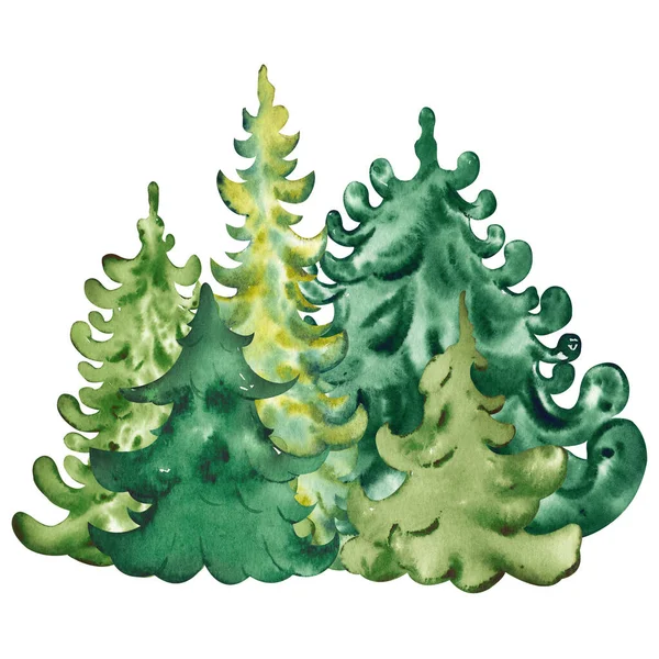 Akvarell örökzöld erdő fa háttér. — Stock Fotó