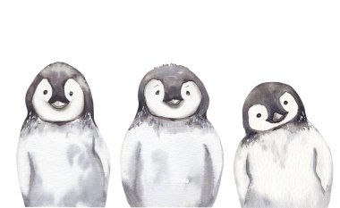Sevimli penguen çizgi film karakterleri.
