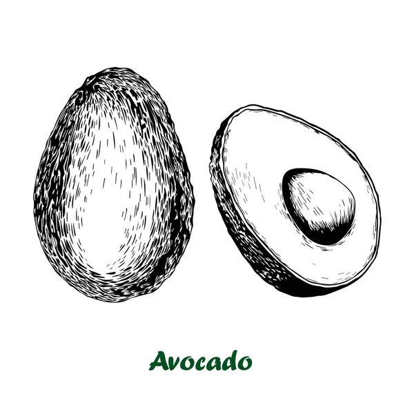Set di avocado disegnato a mano vettoriale. — Vettoriale Stock