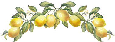 Limonlu meyve dalları. Yatay çelenk, Amalfi Sahili 'nin zamansız Akdeniz estetiğinden esinlenilmiştir. Yaz temalı baskılar, ambalaj, tekstil, mutfak dekorasyonu ve kıyı tasarımı projeleri için mükemmel..