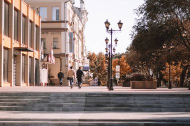 Park sonbahar yolu yürüyüş