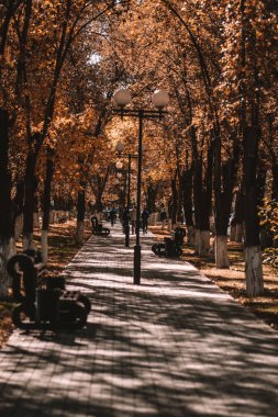 Park sonbahar yolu yürüyüş