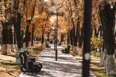 Park sonbahar yolu yürüyüş