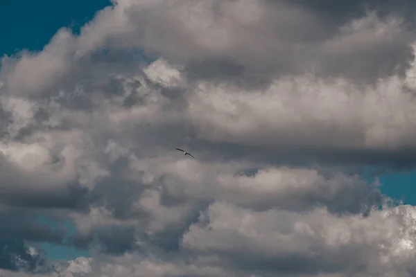 Nuvens Céu — Fotografia de Stock