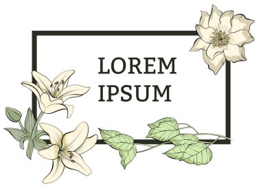 Vektör çizimi çizilmiş doğa resim çerçeve çiçek ve yaprakları şeffaf arka plan ile izole