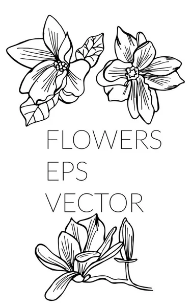 Vector Dibujado Mano Hermoso Conjunto Flores Boceto Para Proyectos Diseño — Vector de stock