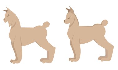 Yalıtılmış düz vektör karikatür lynx ayakta poz