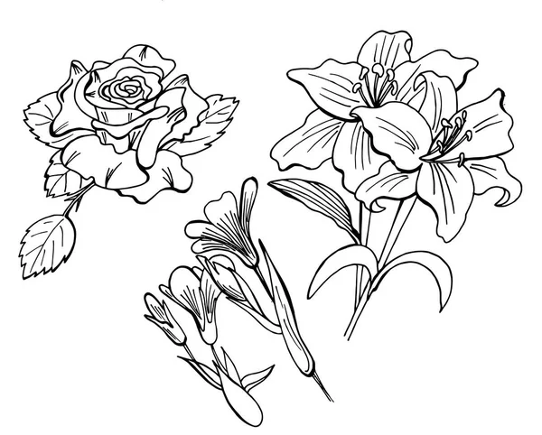 Σύνολο των floral στοιχεία doodle — Διανυσματικό Αρχείο