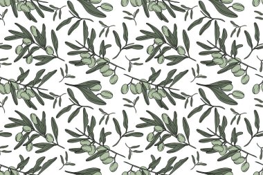 Zeytin dikişsiz vektör deseni