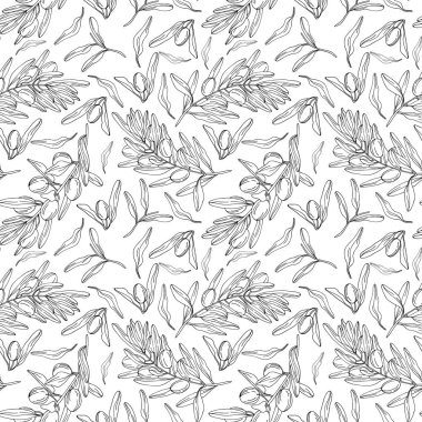 Zeytin dikişsiz vektör deseni