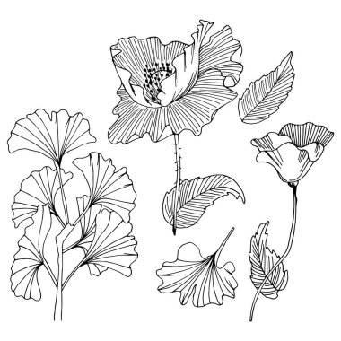 Doodle çiçek öğeleri kümesi