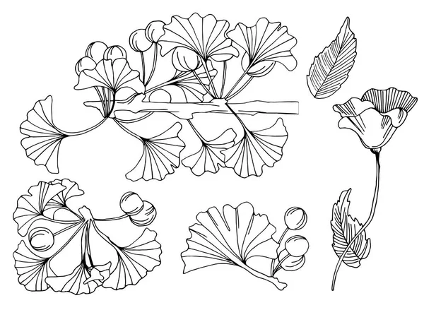Collezione di elementi disegnati con inchiostro floreale — Vettoriale Stock