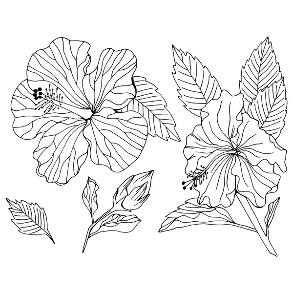 Векторный набор элементов цветка гибискуса — стоковый вектор