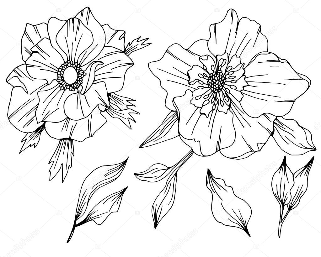 Vector doodle hand drawn Anemone flower, forest plant sketch drawing. Coloring book page for adult. Bohemia concept for wedding invitation, card, ticket, branding, boutique logo, label.