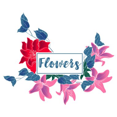 Vektör çiçek botanik dekorasyon sınır