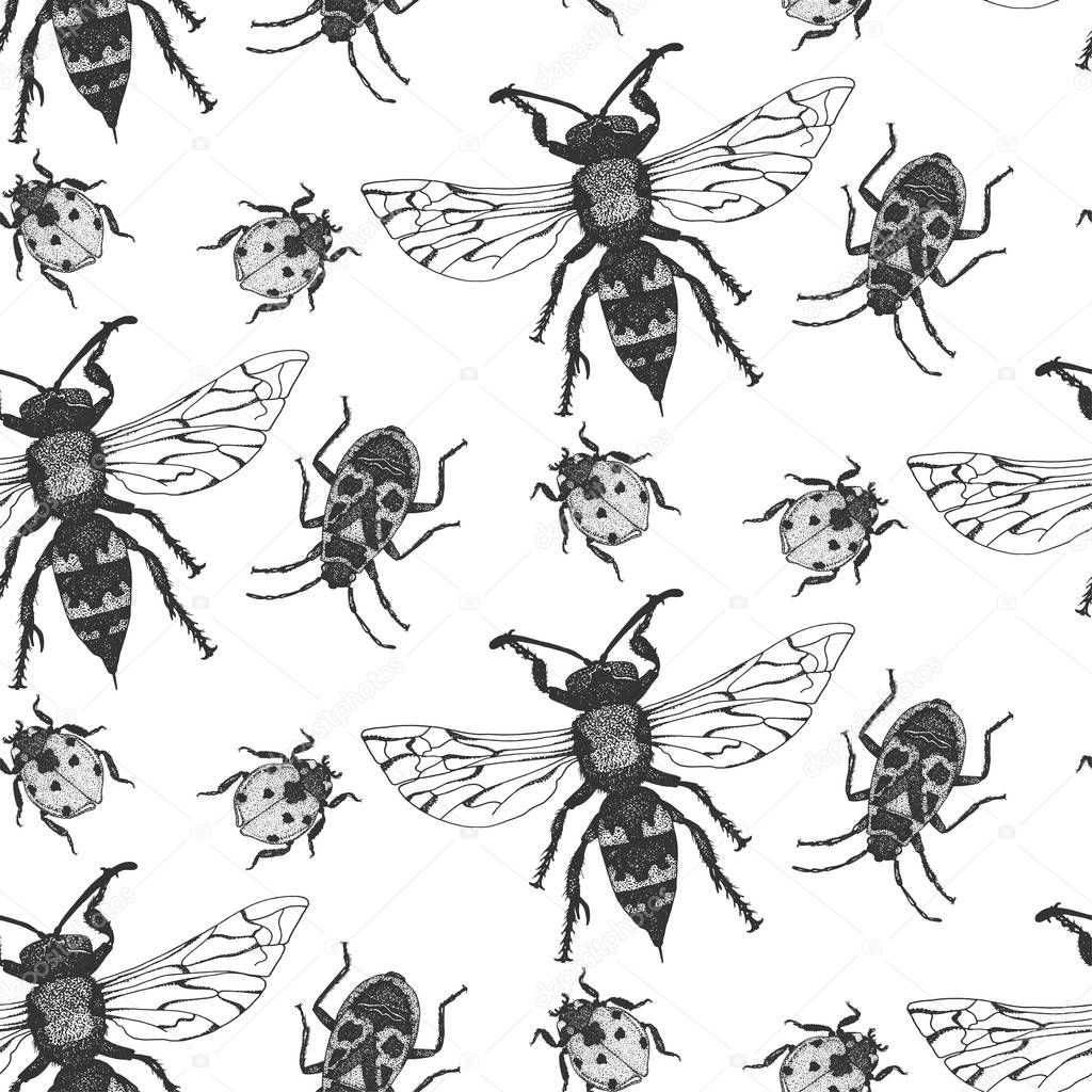 Vector seamless pattern with insects