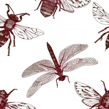 Entomolojik makro son derece ayrıntılı dikişsiz desen