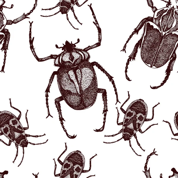 Insektenvektor Käfer nahtloses Muster — Stockvektor