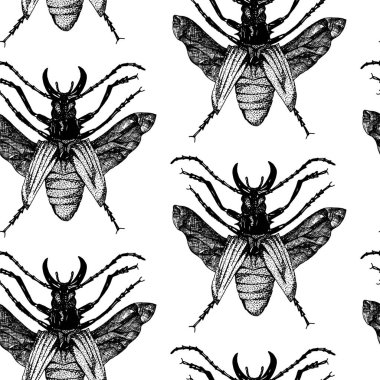 Böcek vektör böceği dikişsiz desen