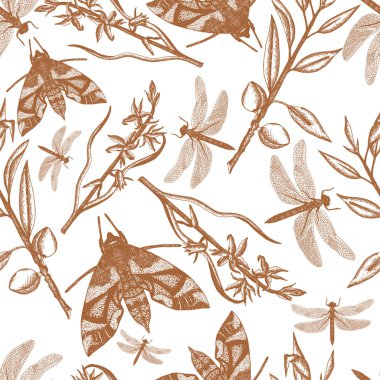 El çizilmiş bitki ile seamles desen