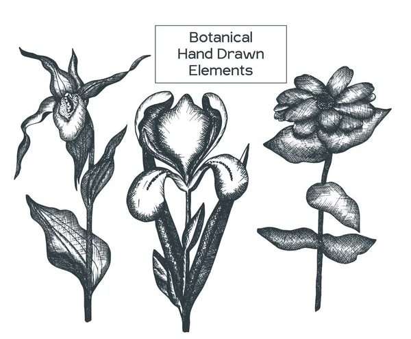 Esquema blanco y negro elementos florales . — Vector de stock