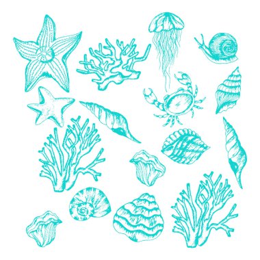 Deniz Turkuazı Mavi Yaratıklar ve Tür Vektörü Ayarları