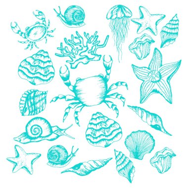 Deniz Turkuazı Mavi Yaratıklar ve Tür Vektörü Ayarları