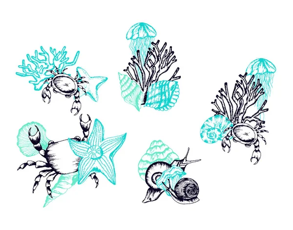 Underwater Life Hand Drawn Vector Set. Vintage Illustrations — Stock Vector