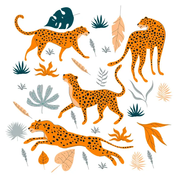 Leopardo Diferentes Poses Saltando Caminando Pie Con Hojas Tropicales Conjunto — Vector de stock