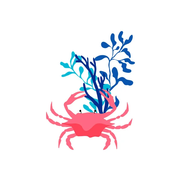 Red Crab Floating Sea Weeds Vector Illustration Inglês Conceito Fauna — Vetor de Stock