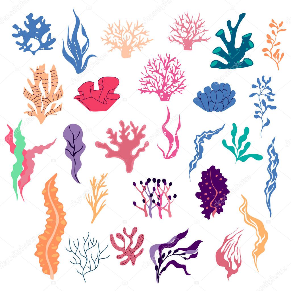 Sea Plants and Aquatic Marine Algae Vector Set. Seaweeds and Underwater Fauna Growing at the Ocean Bottom