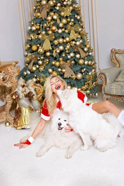 Sexy Santa Claus Meisje Zit Buurt Van Een Kerstboom Met — Stockfoto