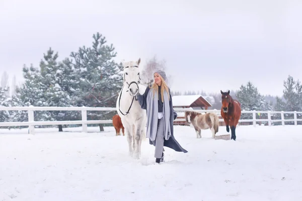 Young Gelukkig Bewolking Lachend Aantrekkelijke Blonde Vrouw Met Paard Winterdag — Stockfoto