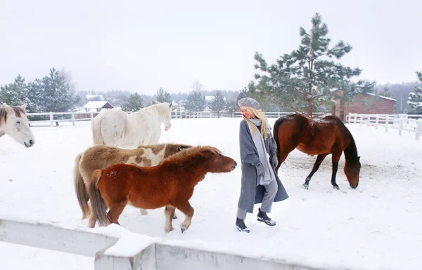 Giovane Felice Sorridente Attraente Donna Bionda Con Cavallo Giornata Invernale Foto Stock Royalty Free