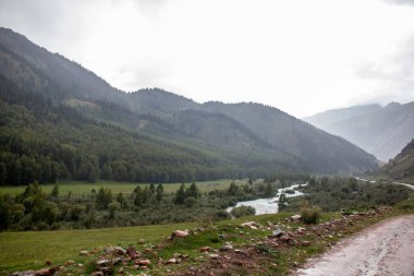 Dağların arasından akan nehrin olduğu güzel yağmurlu orman manzarası. Yeşil ladin ve dağları kaplayan yeşil çalılar. Bulutlu gökyüzü. Yağmurlu hava.