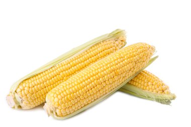 Beyaz arka plan üzerinde izole koçanı üzerinde taze mısır