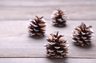 Çam kozalağı gri bir ahşap zemin üzerinde. Ahşap bir masa üzerinde koni