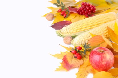 Beyaz arka plan üzerinde izole sebze ve meyveler ile sonbahar yaprakları.