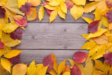 Gri bir ahşap arka plan üzerinde kırmızı ve turuncu sonbahar yaprakları