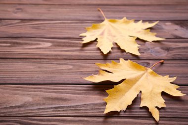 Kahverengi ahşap arka plan üzerinde kırmızı ve turuncu sonbahar yaprakları