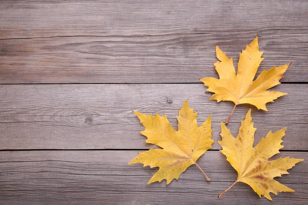 橙色秋天的叶子在灰色的木制背景 秋季概念 — 图库照片
