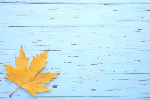 橙色秋天的叶子在蓝色木背景 秋季概念 — 图库照片